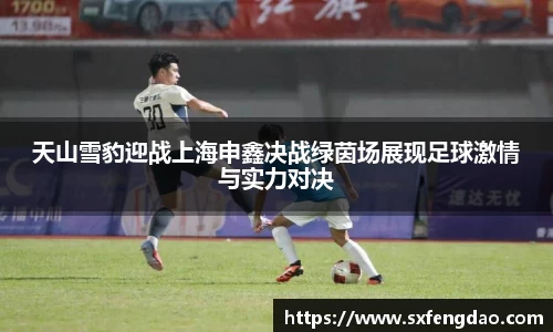 天山雪豹迎战上海申鑫决战绿茵场展现足球激情与实力对决