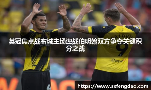谈球吧英冠焦点战布城主场迎战伯明翰双方争夺关键积分之战